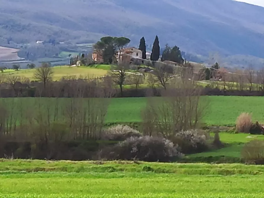 Immagine 23 di Appartamento in vendita  in Ponticelli a Città Della Pieve