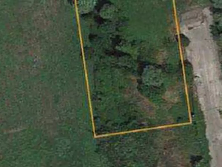 Immagine 4 di Terreno in vendita  in Strada Provinciale 91 a Piacenza D'adige