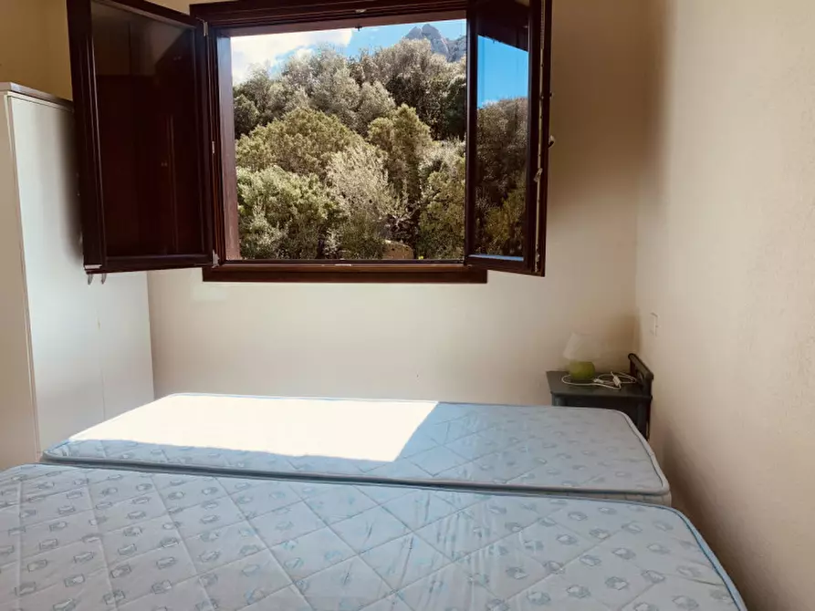 Immagine 8 di Appartamento in vendita  a Arzachena