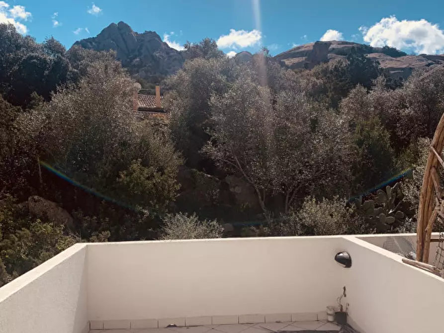 Immagine 14 di Appartamento in vendita  a Arzachena