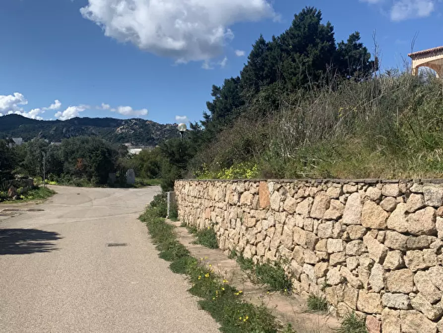 Immagine 15 di Appartamento in vendita  a Arzachena