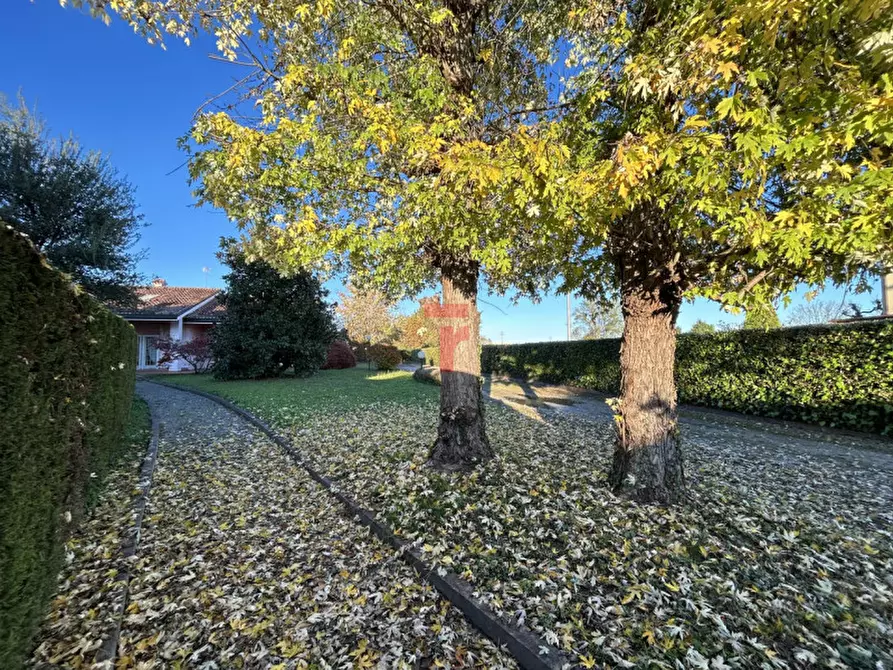 Immagine 27 di Casa bifamiliare in vendita  in Via Vittorio Veneto a Vigodarzere