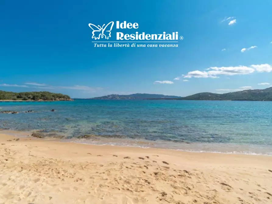 Immagine 19 di Villa in affitto  a Palau