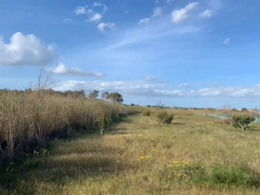 Immagine 11 di Terreno in vendita  in Via delle Viole a Ispica