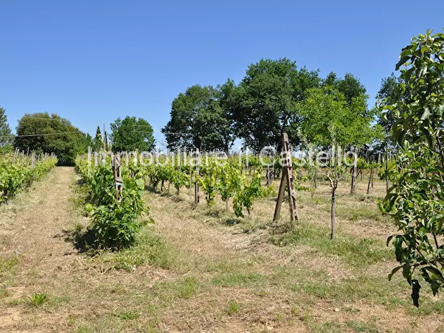 Immagine 54 di Rustico / casale in vendita  a Montepulciano