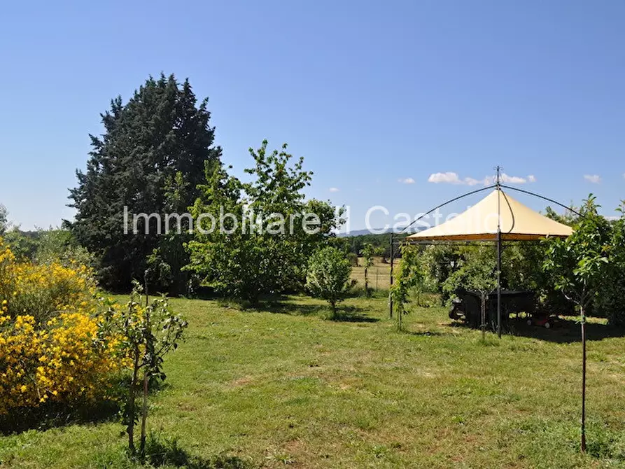 Immagine 63 di Rustico / casale in vendita  a Montepulciano