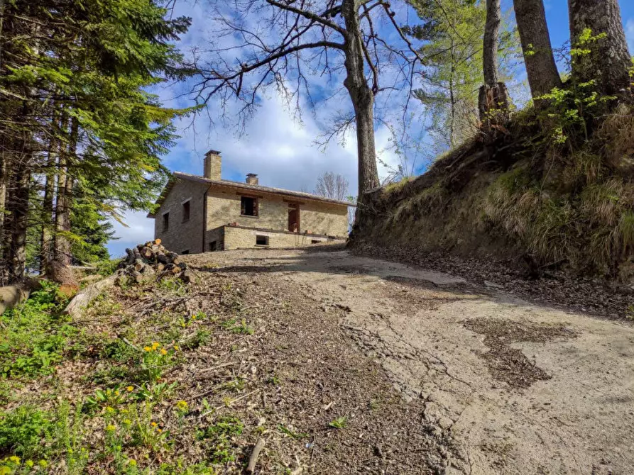 Immagine 4 di Rustico / casale in vendita  in Località Palazzaccio a Carpegna