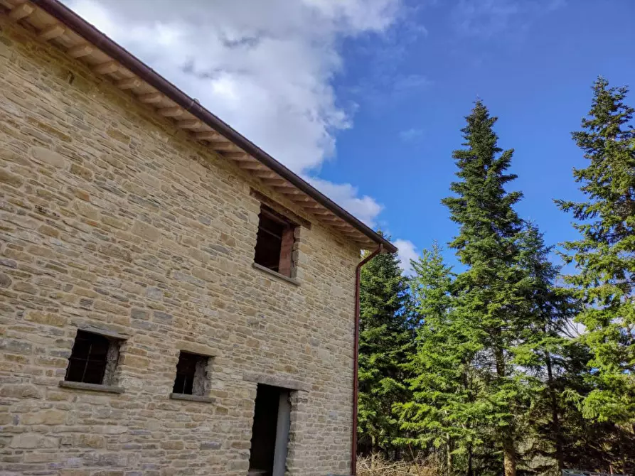 Immagine 8 di Rustico / casale in vendita  in Località Palazzaccio a Carpegna
