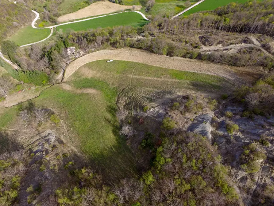 Immagine 10 di Rustico / casale in vendita  in Località Palazzaccio a Carpegna