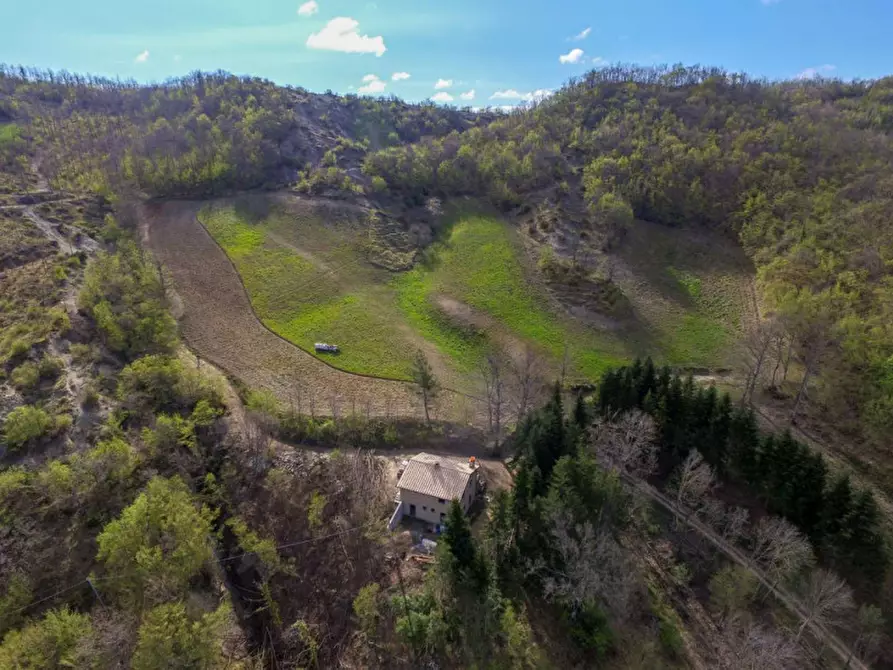 Immagine 13 di Rustico / casale in vendita  in Località Palazzaccio a Carpegna