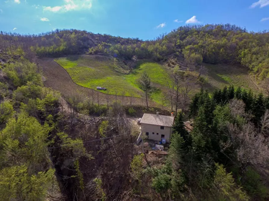 Immagine 14 di Rustico / casale in vendita  in Località Palazzaccio a Carpegna