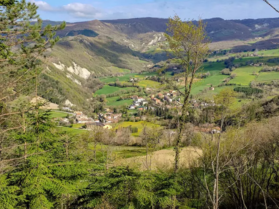 Immagine 20 di Rustico / casale in vendita  in Località Palazzaccio a Carpegna
