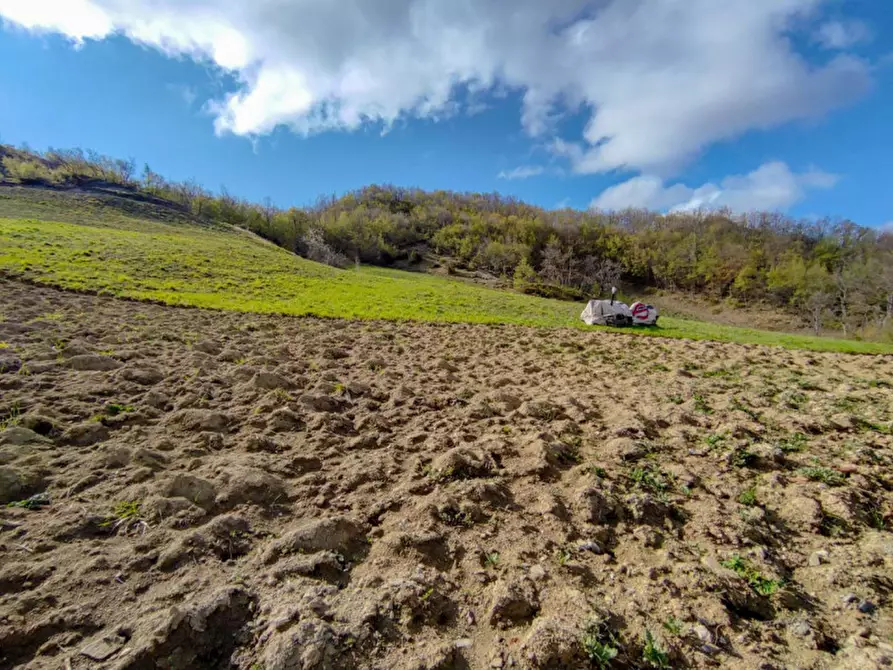 Immagine 21 di Rustico / casale in vendita  in Località Palazzaccio a Carpegna