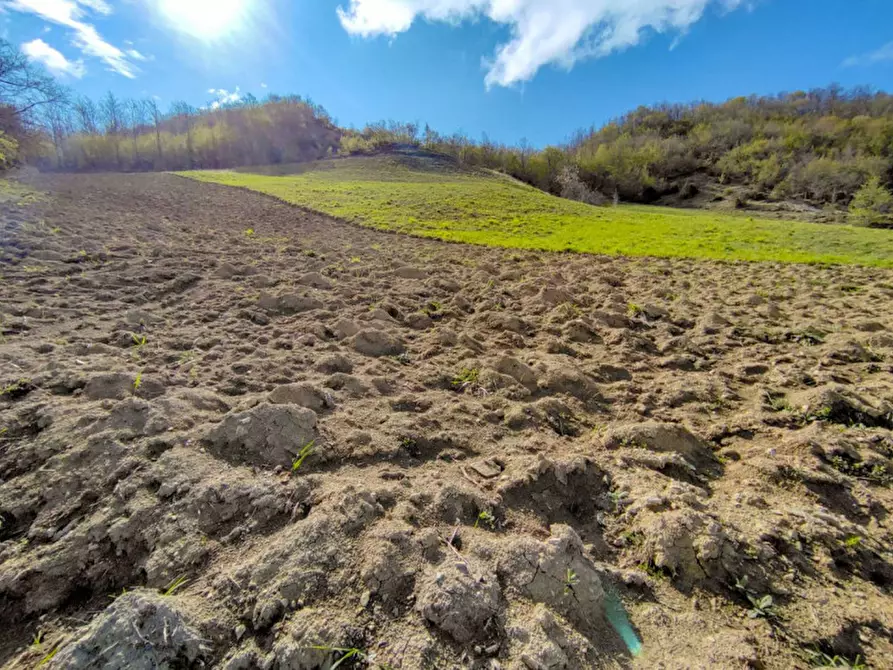 Immagine 22 di Rustico / casale in vendita  in Località Palazzaccio a Carpegna