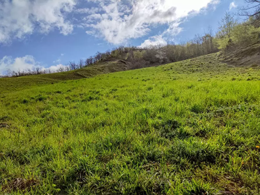 Immagine 23 di Rustico / casale in vendita  in Località Palazzaccio a Carpegna