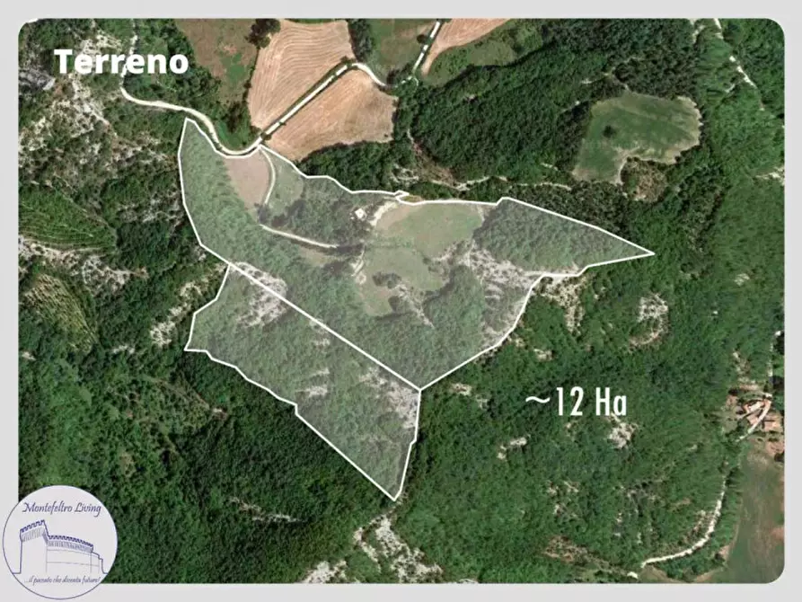 Immagine 26 di Rustico / casale in vendita  in Località Palazzaccio a Carpegna