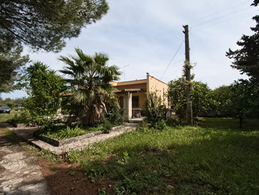 Immagine 1 di Villa in vendita  in strada provinciale vernole pisignano snc a Vernole