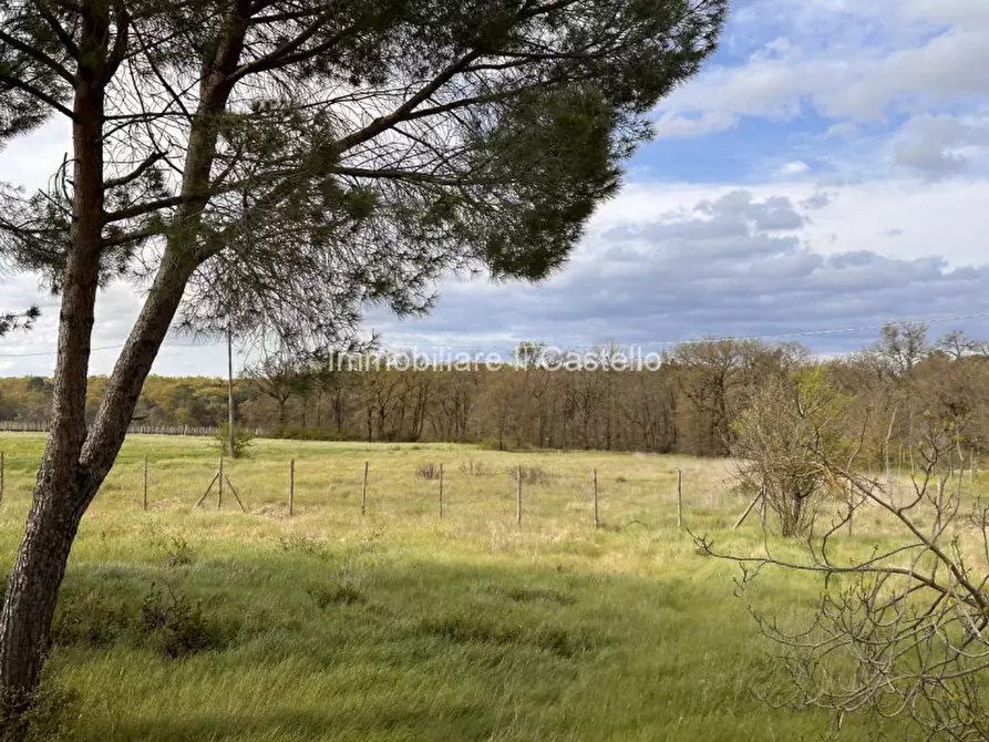 Immagine 21 di Rustico / casale in vendita  a Castiglione Del Lago