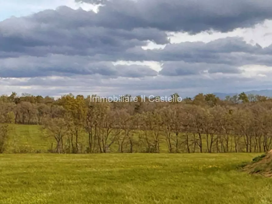 Immagine 23 di Rustico / casale in vendita  a Castiglione Del Lago
