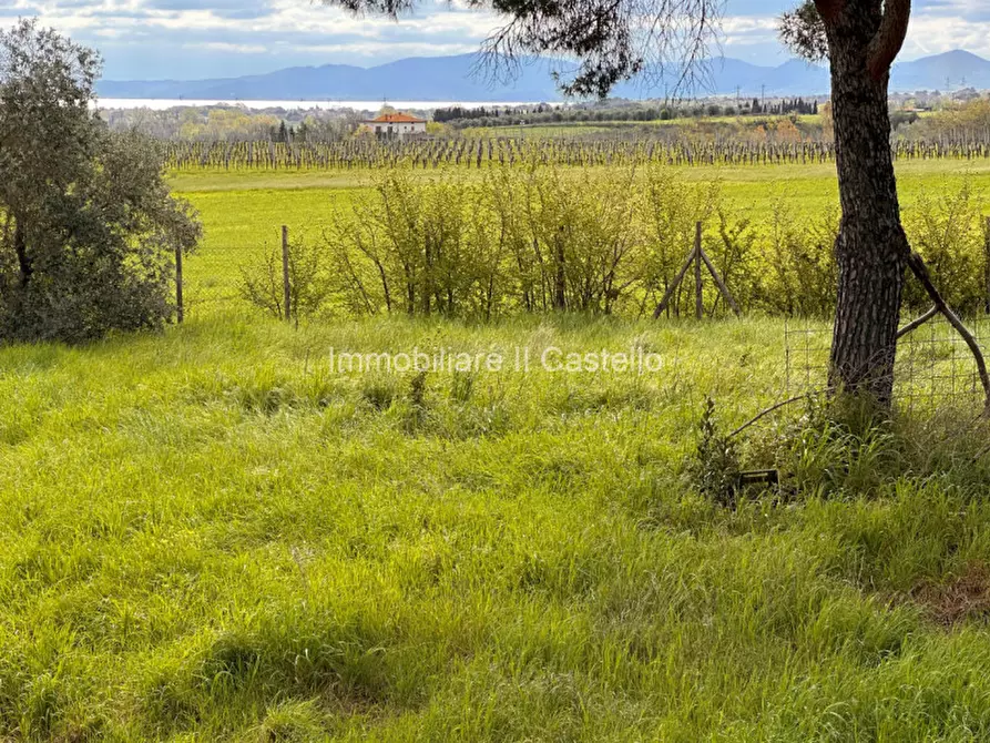 Immagine 26 di Rustico / casale in vendita  a Castiglione Del Lago