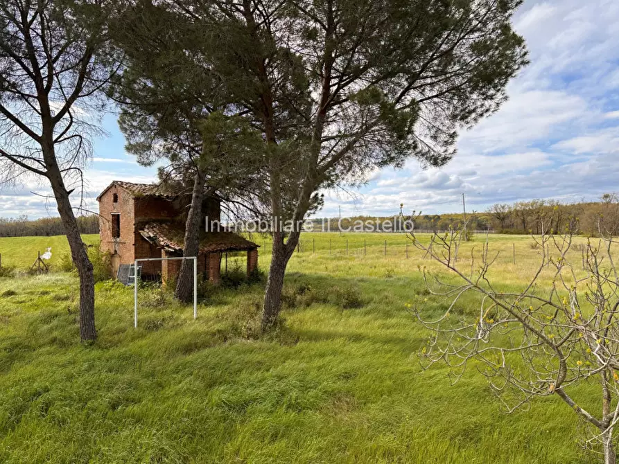 Immagine 27 di Rustico / casale in vendita  a Castiglione Del Lago