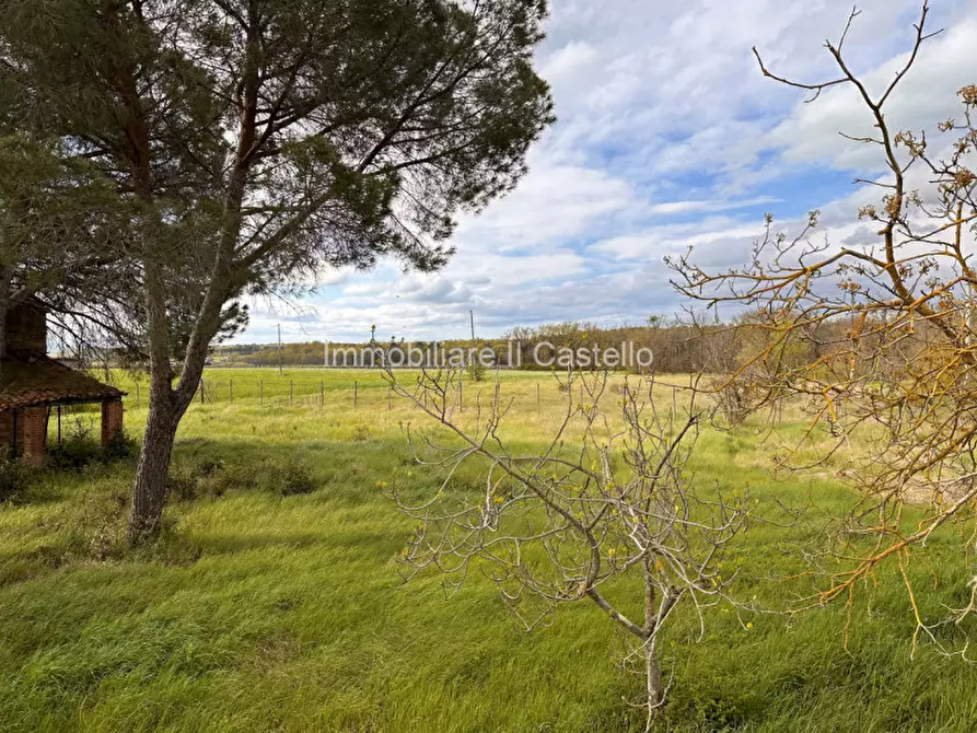Immagine 28 di Rustico / casale in vendita  a Castiglione Del Lago