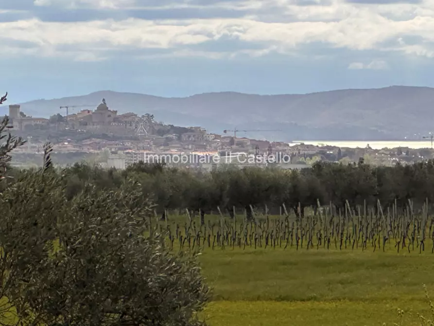 Immagine 30 di Rustico / casale in vendita  a Castiglione Del Lago