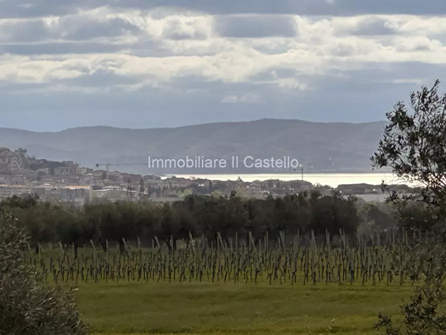 Immagine 31 di Rustico / casale in vendita  a Castiglione Del Lago