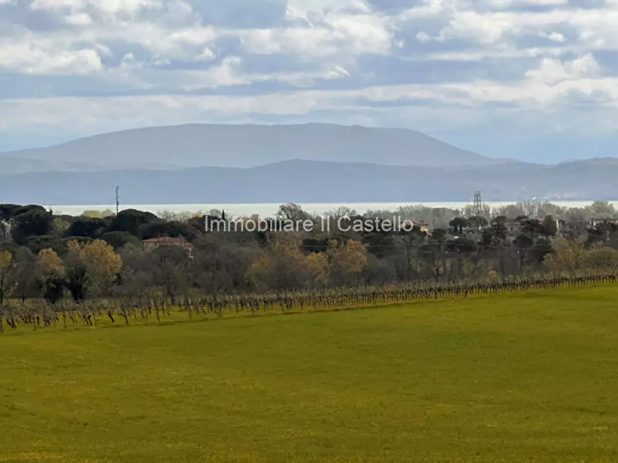 Immagine 41 di Rustico / casale in vendita  a Castiglione Del Lago