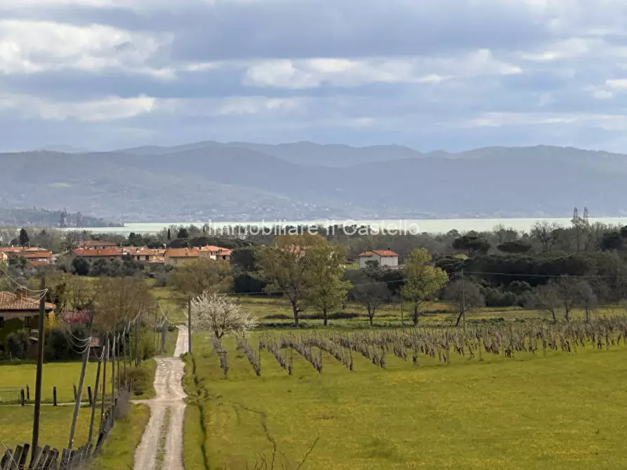 Immagine 42 di Rustico / casale in vendita  a Castiglione Del Lago