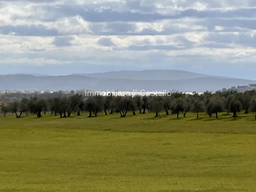 Immagine 43 di Rustico / casale in vendita  a Castiglione Del Lago