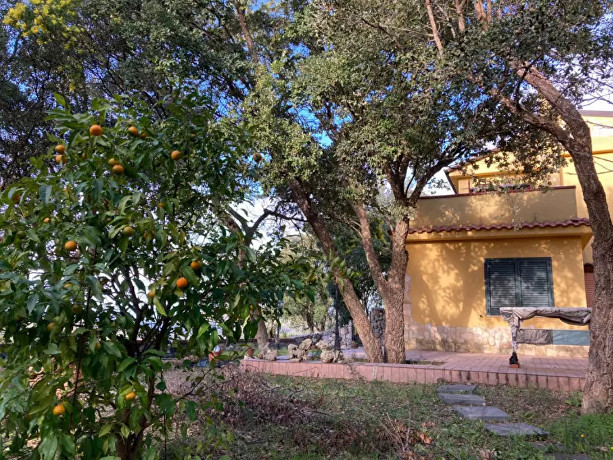 Immagine 21 di Villa in vendita  in CONTRADA SANTO STEFANO a Itri