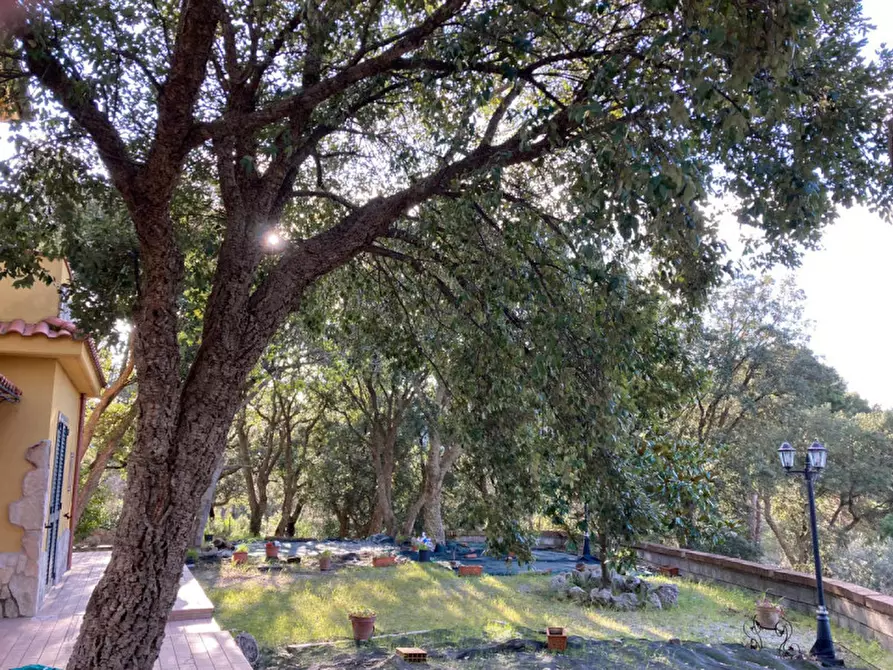 Immagine 23 di Villa in vendita  in CONTRADA SANTO STEFANO a Itri