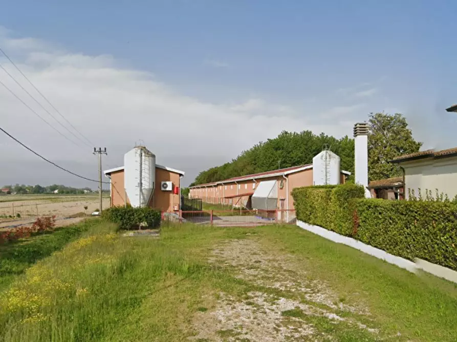 Immagine 2 di Capannone industriale in vendita  in Via Calle dell'Orso a San Donà Di Piave