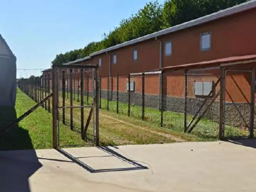 Immagine 3 di Capannone industriale in vendita  in Via Calle dell'Orso a San Donà Di Piave