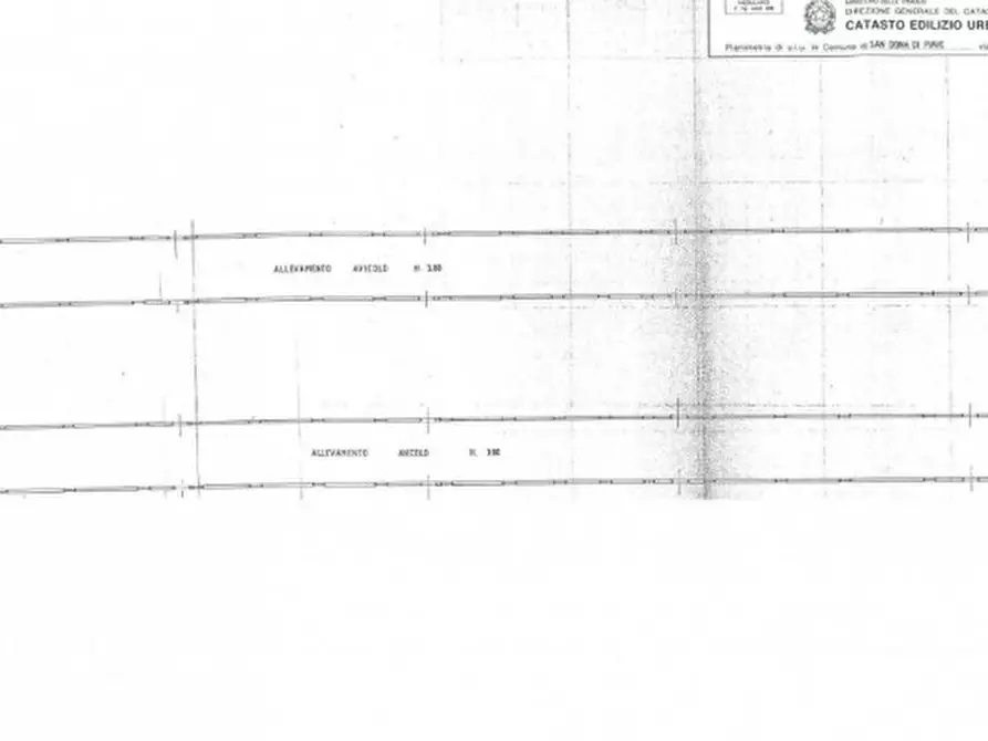 Immagine 8 di Capannone industriale in vendita  in Via Calle dell'Orso a San Donà Di Piave