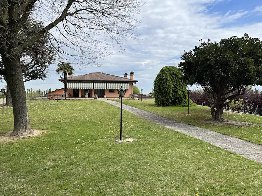 Immagine 2 di Casa indipendente in vendita  a Codevigo