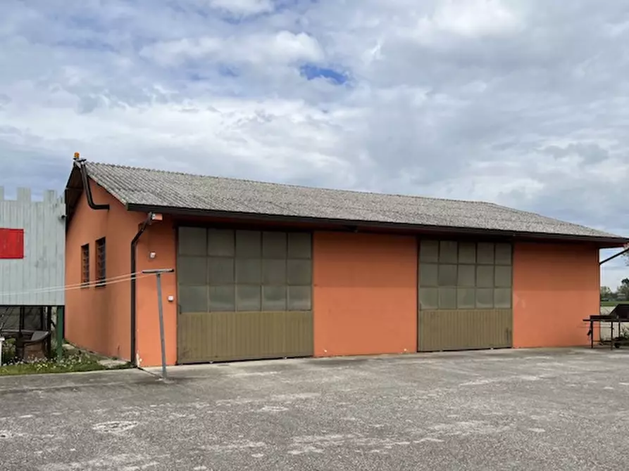 Immagine 16 di Casa indipendente in vendita  a Codevigo