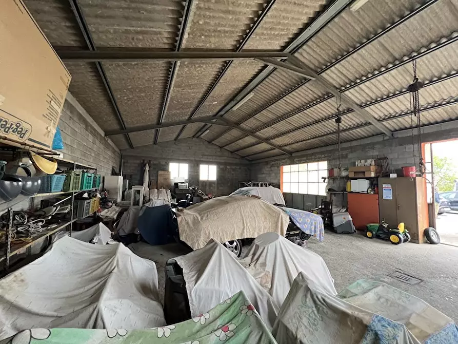 Immagine 17 di Casa indipendente in vendita  a Codevigo