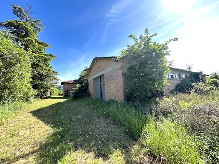 Immagine 9 di Villa in vendita  in SAN CARLO a Cesena