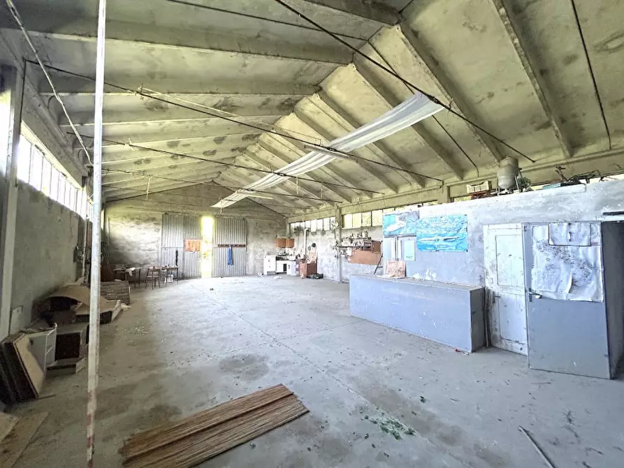 Immagine 10 di Villa in vendita  in SAN CARLO a Cesena