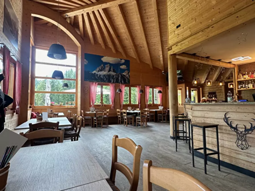 Immagine 7 di Attività commerciale in vendita  a Auronzo Di Cadore