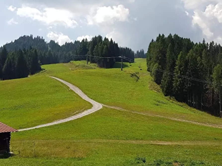 Immagine 17 di Attività commerciale in vendita  a Auronzo Di Cadore
