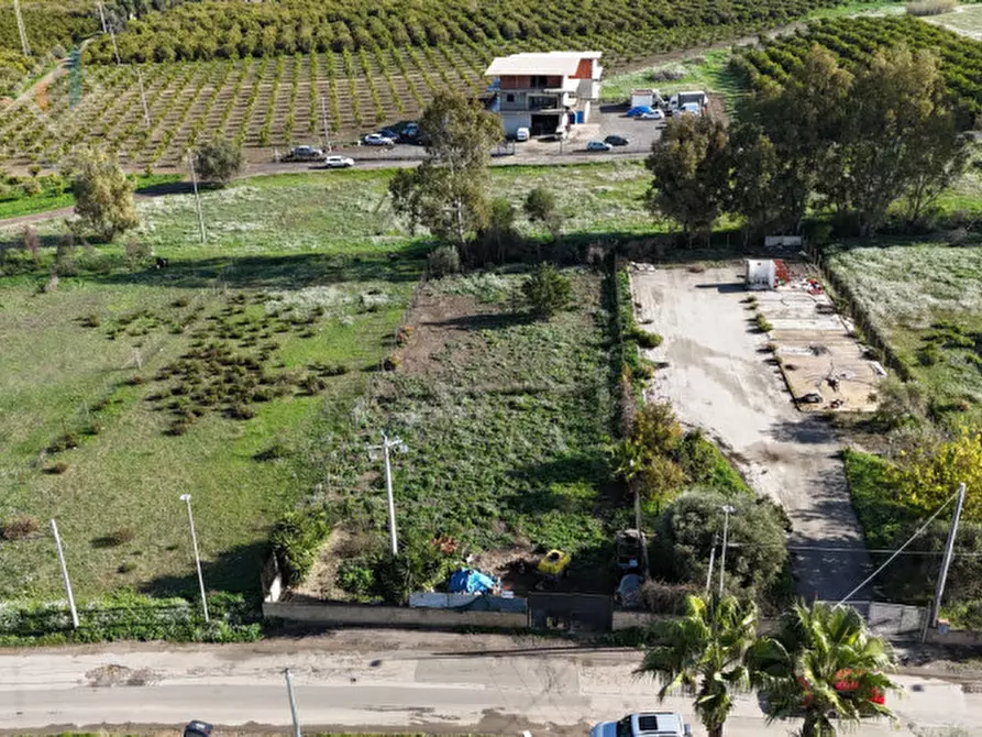 Immagine 1 di Terreno in vendita  in c.da Albanello snc a Palagonia