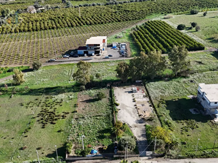 Immagine 2 di Terreno in vendita  in c.da Albanello snc a Palagonia