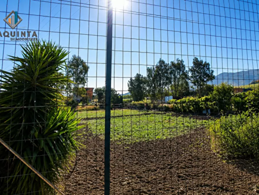 Immagine 3 di Terreno in vendita  in c.da Albanello snc a Palagonia