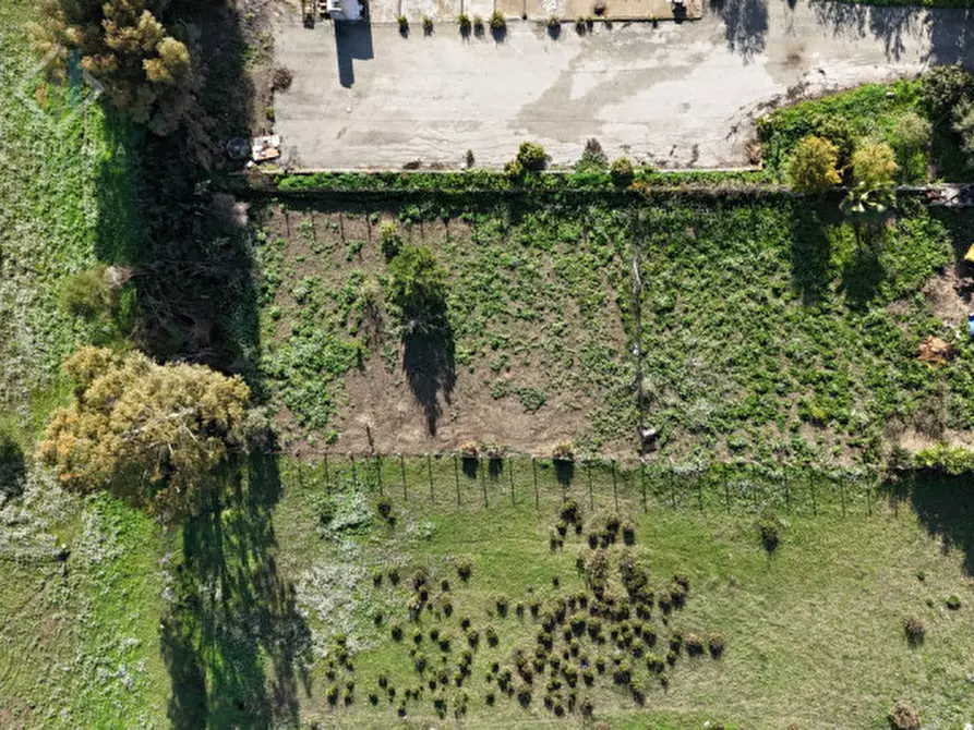 Immagine 4 di Terreno in vendita  in c.da Albanello snc a Palagonia