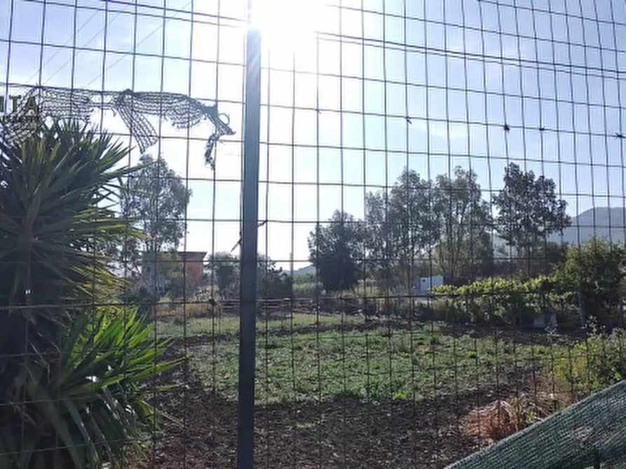 Immagine 6 di Terreno in vendita  in c.da Albanello snc a Palagonia