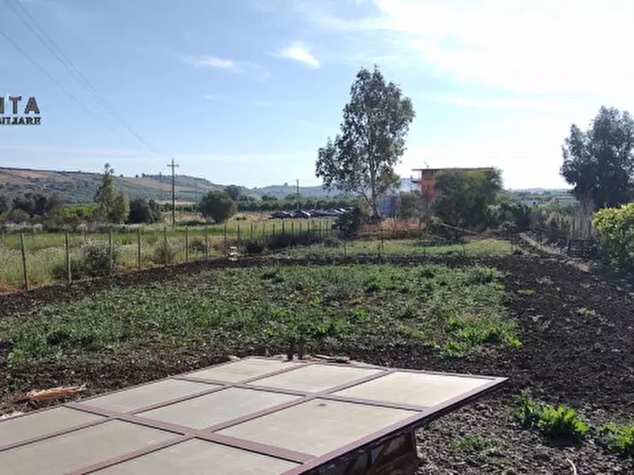 Immagine 8 di Terreno in vendita  in c.da Albanello snc a Palagonia