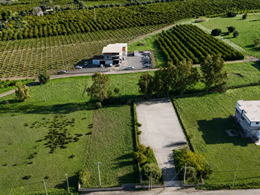 Immagine 8 di Terreno in vendita  in c.da Albanello snc a Palagonia